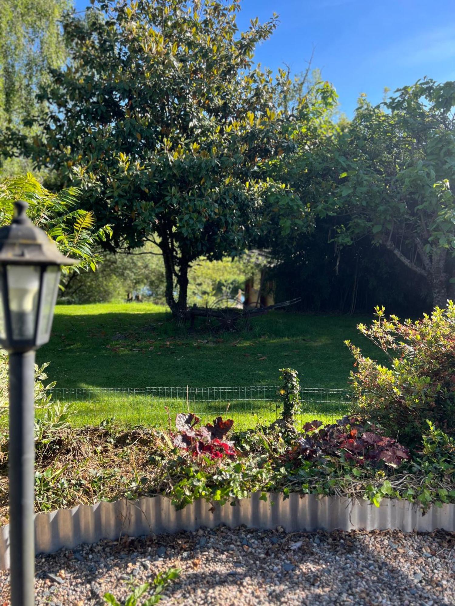 Le Domaine De La Vergnolle Roches  Exterior foto