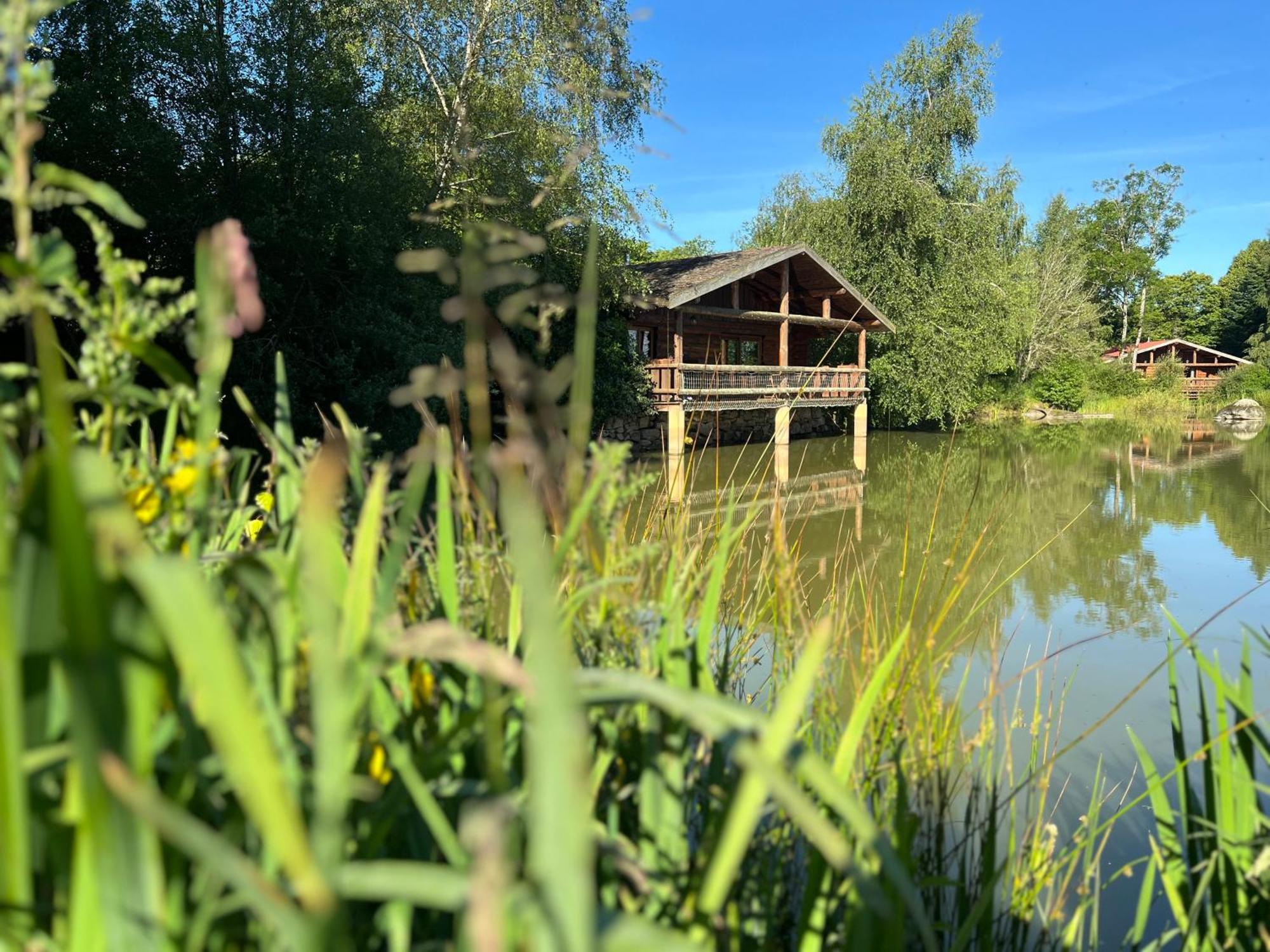 Le Domaine De La Vergnolle Roches  Exterior foto